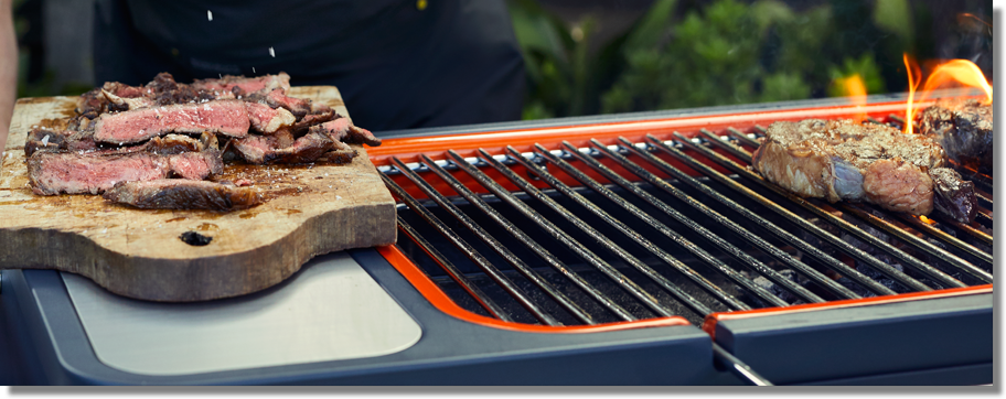 Everdure Hub Grills